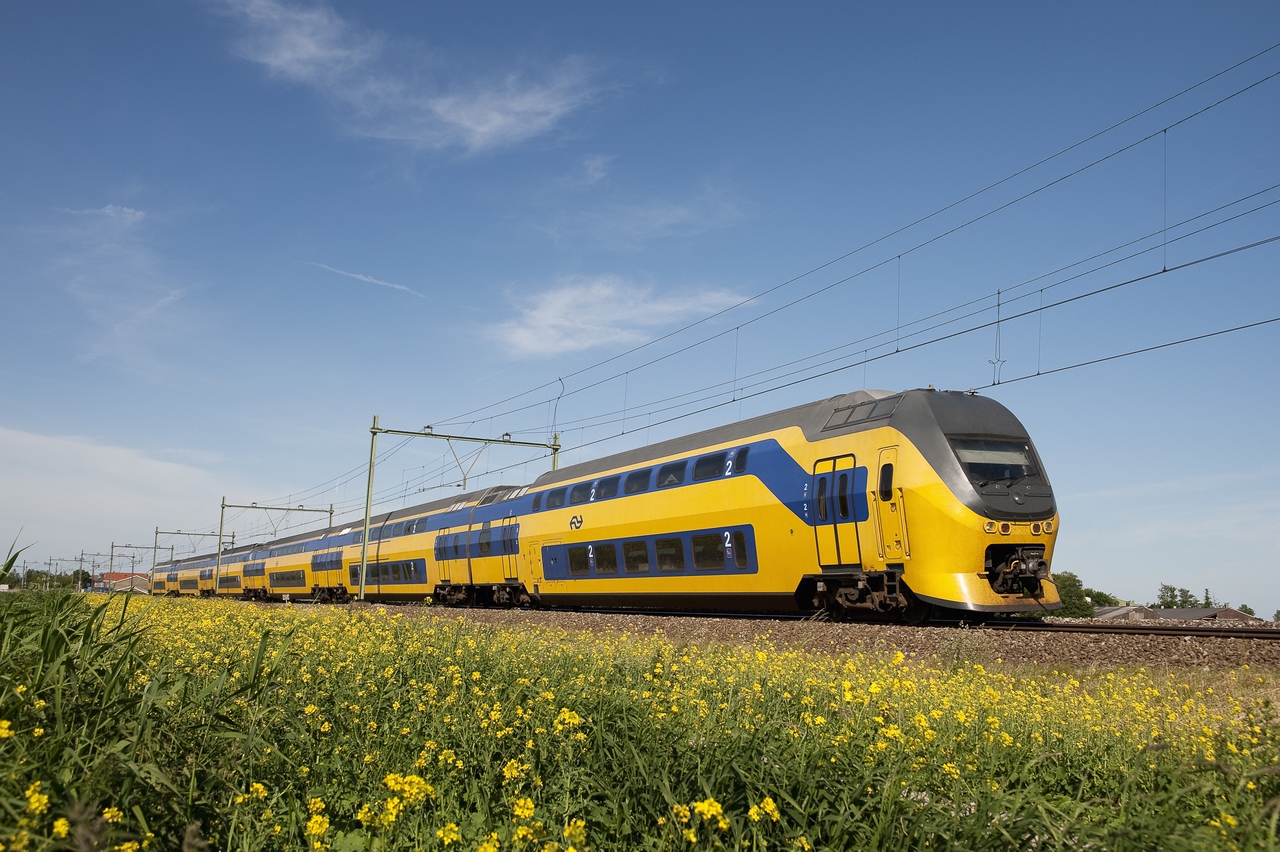 NS